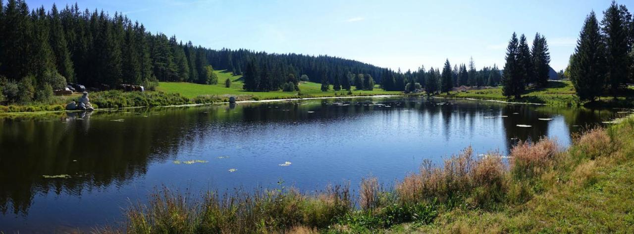 Urlaub Auf 1.000 Meter Hoehe Mit Pool Und Sauna Schönwalde Eksteriør bilde